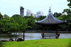 江心屿风光 (6)