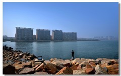 在海边（十七）