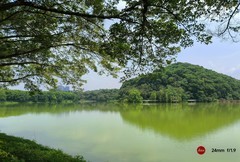 在白云山的鸣泉居。