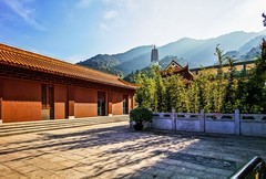 深圳弘法寺 掠影