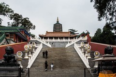 【镜头里】第1617号：北京西山八大处公园（二）