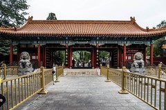 【镜头里】第1617号：北京西山八大处公园（二）