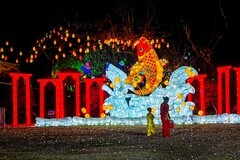 外出随拍（876）.