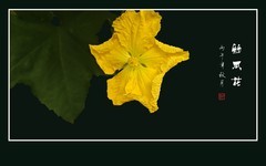 绕藤黄花艳，风推瓜叶肥