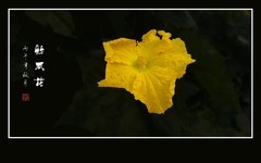 绕藤黄花艳，风推瓜叶肥