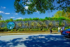 黄山塔川风景 4