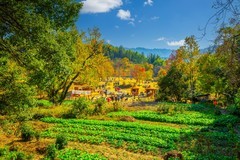 黄山塔川风景 4
