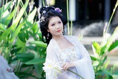 【夏日小花仙】--- 南阳