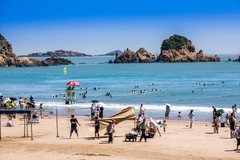 外出随拍（562）.