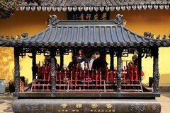 永嘉普安禅寺龙梅