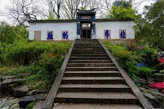 2026年第0375贴 -苏州虎丘公园旅拍（0530）