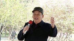公园遛弯儿，随见随拍