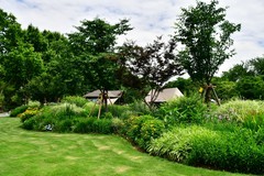 世纪公园夏日美