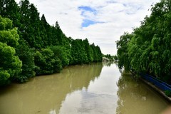 世纪公园夏日美