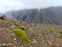 手机拍青海【1】