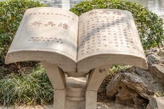 庐州印象（602）