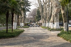 庐州印象（602）