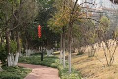 庐州印象（603）