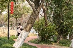 庐州印象（603）