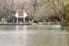 庐州印象（603）