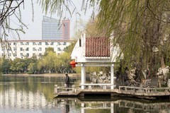 庐州印象（606）