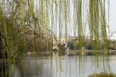 庐州印象（606）