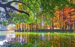 [26076] 华南植物园