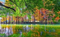 [26076] 华南植物园