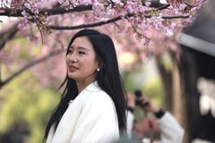 晓园公园来赏花