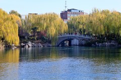 冬日——明湖风光（二）