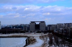 冬日——小提琴长廊（1）