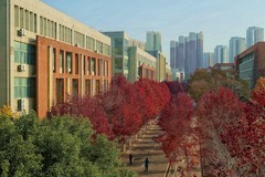 文华学院红枫二