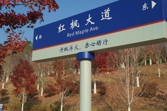 文华学院红枫二