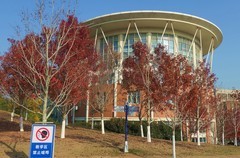 文华学院红枫二