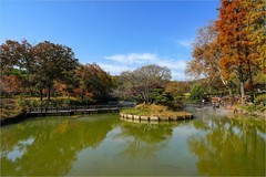 2025年第0848贴-无锡鼋头渚公园旅拍（1209）