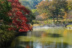 2025年第0848贴-无锡鼋头渚公园旅拍（1209）