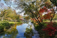 2025年第0848贴-无锡鼋头渚公园旅拍（1209）