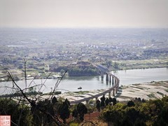 2025.4.2外出吸新鲜空气（18）