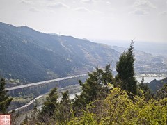 2025.4.2外出吸新鲜空气（18）