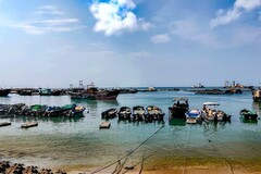 外出随拍（877）.