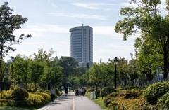 庐州印象（662）五月杏花公园