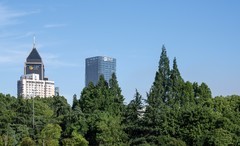 庐州印象（662）五月杏花公园