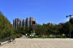 江南岸（4）