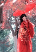 枫叶古风汉服环境人像