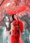 枫叶古风汉服环境人像