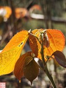 2025.3.20桂林玩野洞随拍