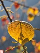 2025.3.20桂林玩野洞随拍