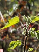 2025.3.20桂林玩野洞随拍