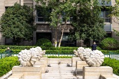 庐州印象（521）