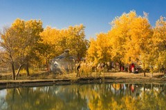 外出随拍（689）.